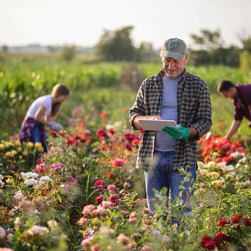 Gardener using the modern technology to research